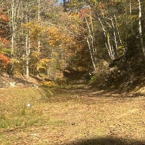 Meet your Posher, Gordon